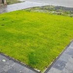 Oprit & Terras in Torhout - Torhout - projectfoto 5 - Realisatie door PSBRUK Eeklo
